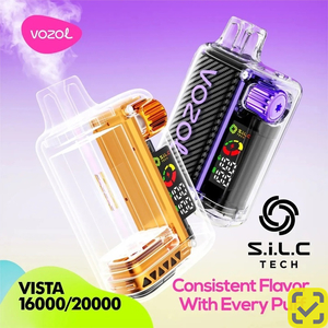 VOZOL VISTA 20000 ENG Mango ice